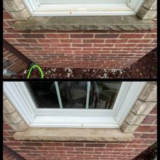 Window and LEdge Cleaning 4